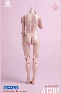 1/6 Scale Girls Body AT201