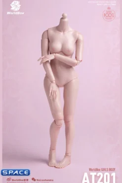 1/6 Scale Girls Body AT201