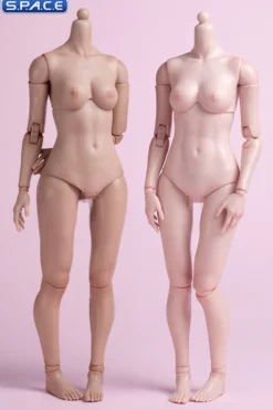 1/6 Scale Girls Body AT201