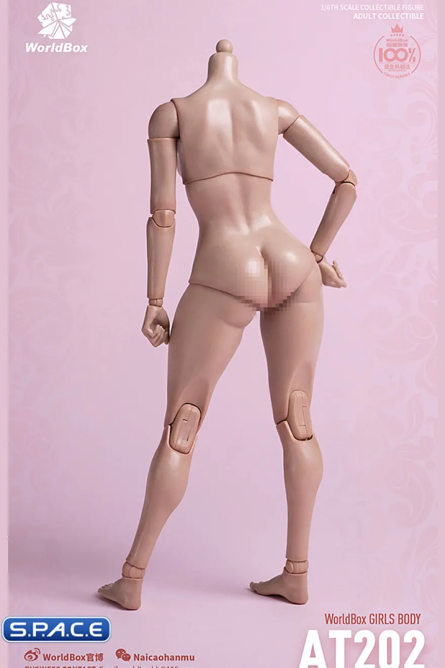1/6 Scale Girls Body AT202