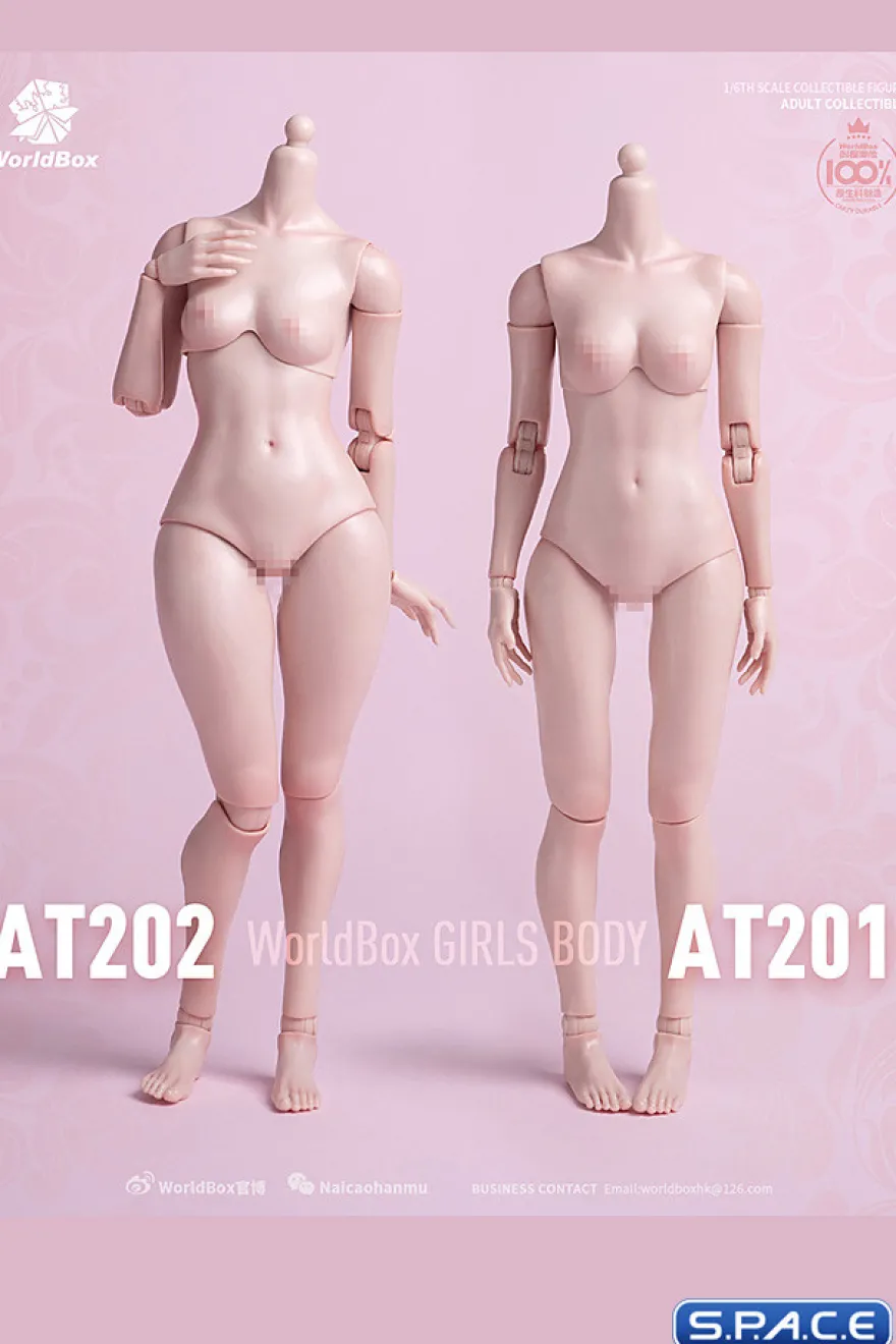 1/6 Scale Girls Body AT202
