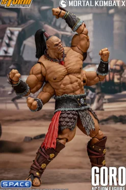 1/12 Scale Goro