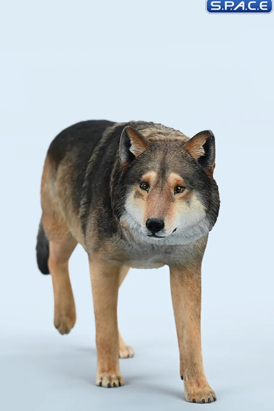 1/6 Scale Gray Wolf Version A2