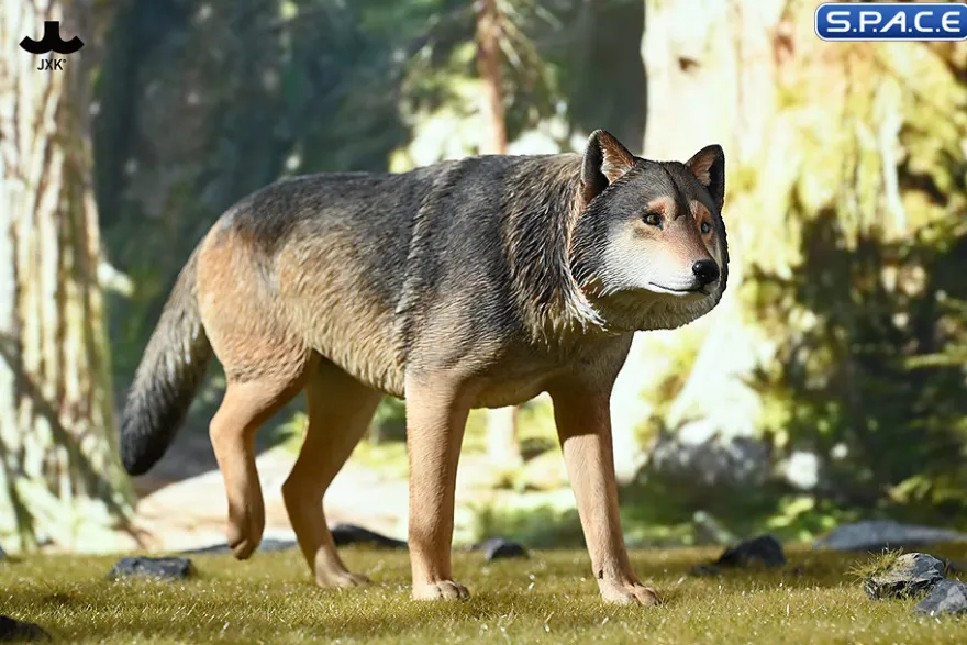 1/6 Scale Gray Wolf Version A2