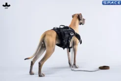 1/6 Scale Great Dane Version A