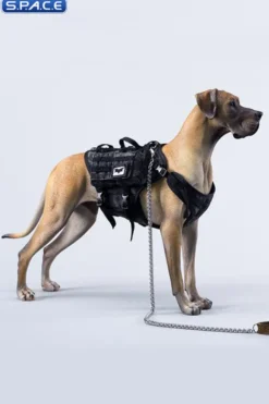 1/6 Scale Great Dane Version A