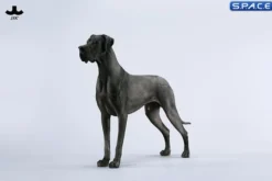 1/6 Scale Great Dane Version B