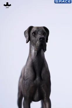 1/6 Scale Great Dane Version B