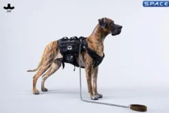 1/6 Scale Great Dane Version C