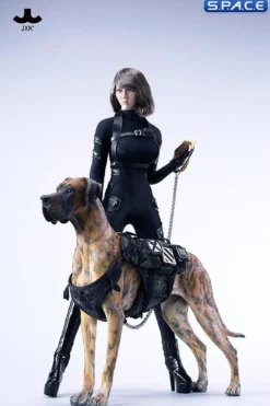 1/6 Scale Great Dane Version C