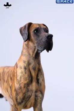 1/6 Scale Great Dane Version C