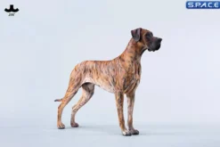 1/6 Scale Great Dane Version C