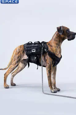 1/6 Scale Great Dane Version C