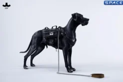1/6 Scale Great Dane Version D