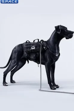 1/6 Scale Great Dane Version D