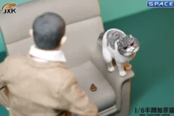 1/6 Scale half squatting Exotic Shorthair Cat