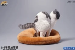 1/6 Scale half squatting Exotic Shorthair Cat