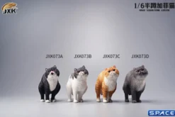 1/6 Scale half squatting Exotic Shorthair Cat