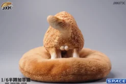 1/6 Scale half squatting Exotic Shorthair Cat