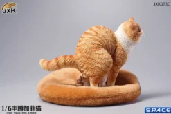 1/6 Scale half squatting Exotic Shorthair Cat