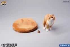 1/6 Scale half squatting Exotic Shorthair Cat