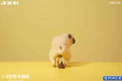 1/6 Scale half squatting Pug