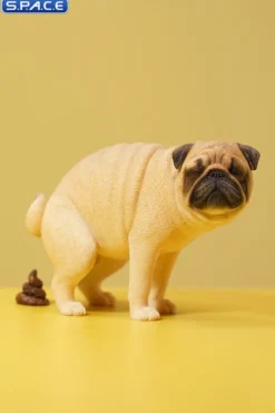 1/6 Scale half squatting Pug