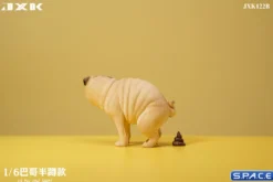 1/6 Scale half squatting Pug