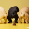 1/6 Scale half squatting Pug