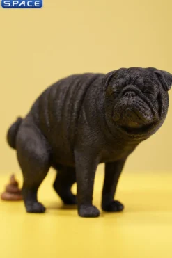 1/6 Scale half squatting Pug