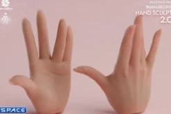 1/6 Scale Hand Set AT209A