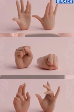 1/6 Scale Hand Set AT209A