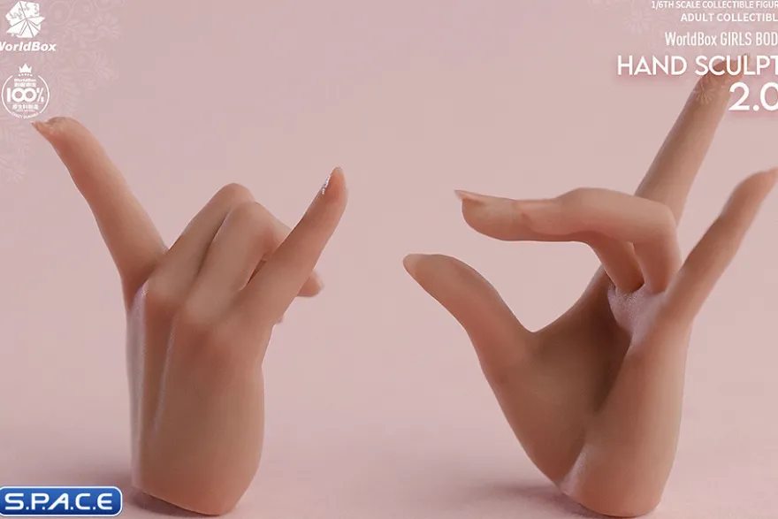 1/6 Scale Hand Set AT209B