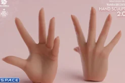 1/6 Scale Hand Set AT209B