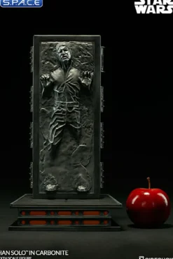 1/6 Scale Han Solo in Carbonite