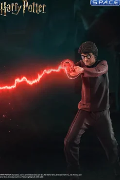 1/10 Scale Harry Potter