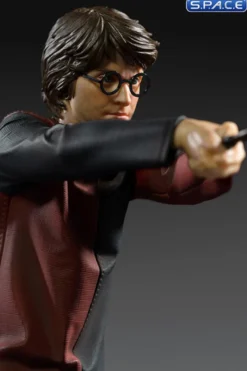 1/10 Scale Harry Potter