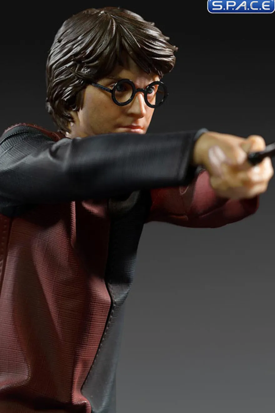 1/10 Scale Harry Potter