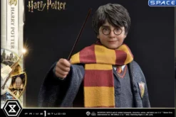 1/6 Scale Harry Potter Prime Collectible Figures Statue