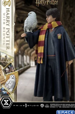 1/6 Scale Harry Potter with Hedwig Prime Collectible Figures Statue