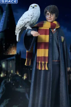 1/6 Scale Harry Potter with Hedwig Prime Collectible Figures Statue