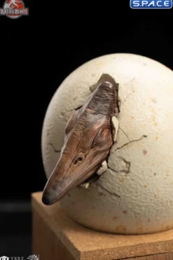 1/2 Scale Hatching Pterosaur Set