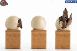 1/2 Scale Hatching Pterosaur Set