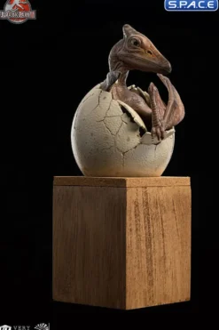 1/2 Scale Hatching Pterosaur Set