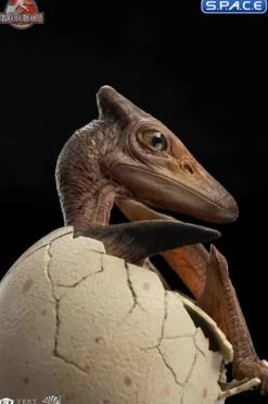 1/2 Scale Hatching Pterosaur Set