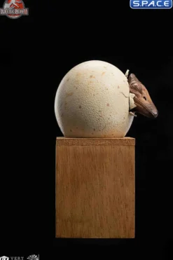 1/2 Scale Hatching Pterosaur Set
