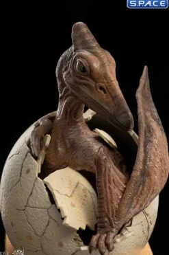 1/2 Scale Hatching Pterosaur Set