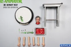 1/6 Scale Herbert West - Deluxe Version