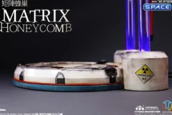 1/6 Scale Honeycomb - Matrix