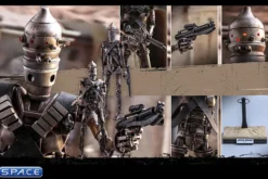 1/6 Scale IG-11